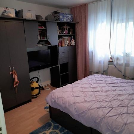 Apartament Straja - Lupeni  Esterno foto