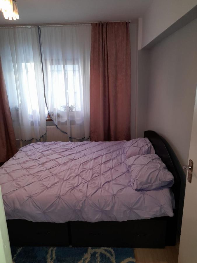 Apartament Straja - Lupeni  Esterno foto
