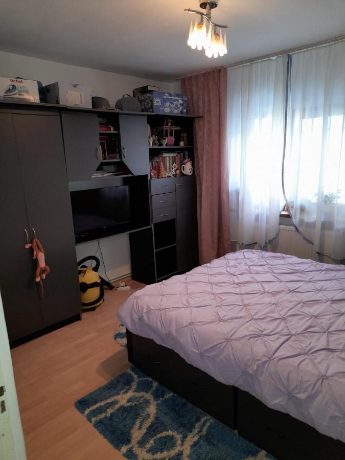 Apartament Straja - Lupeni  Esterno foto