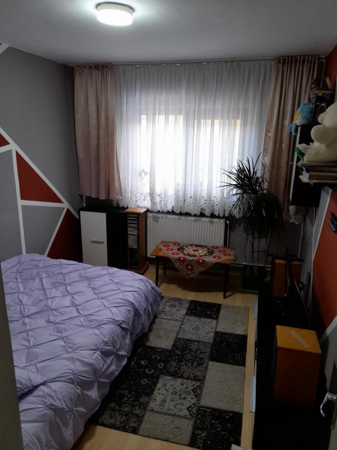 Apartament Straja - Lupeni  Esterno foto